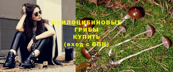 спайс Арсеньев